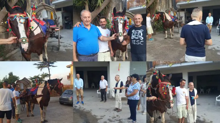 Riparte il viaggio di Rino e il suo cavallo Ferdinando dalla valle dopo la benedizione