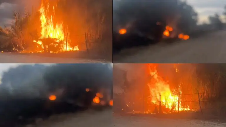 Vasto rogo, Protezione Civile in azione