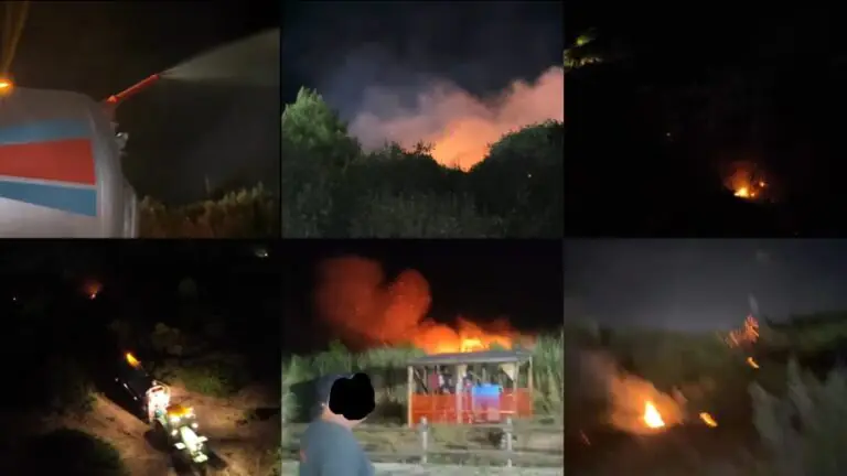 Rogo nella Pineta comunale, in azione mezzi speciali