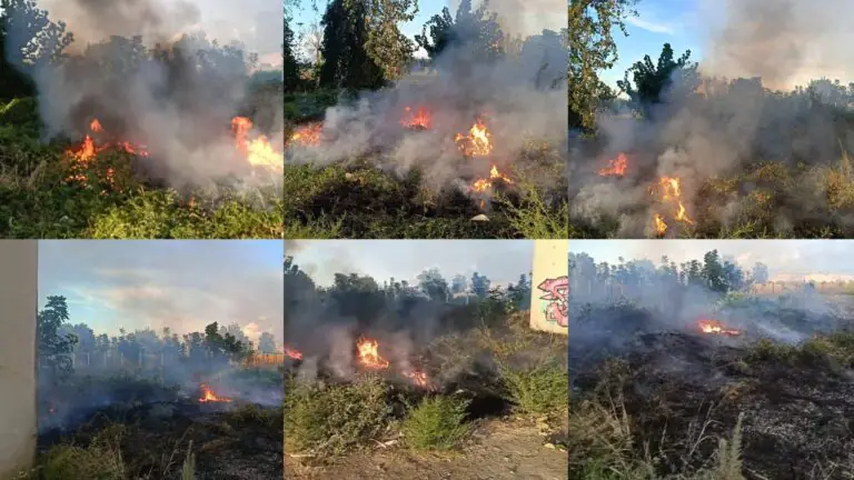 Incendio nei pressi della Provinciale, fumo invade la zona