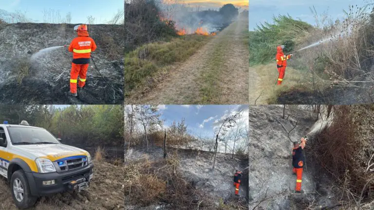 Diversi roghi nella stessa zona, volontari in azione