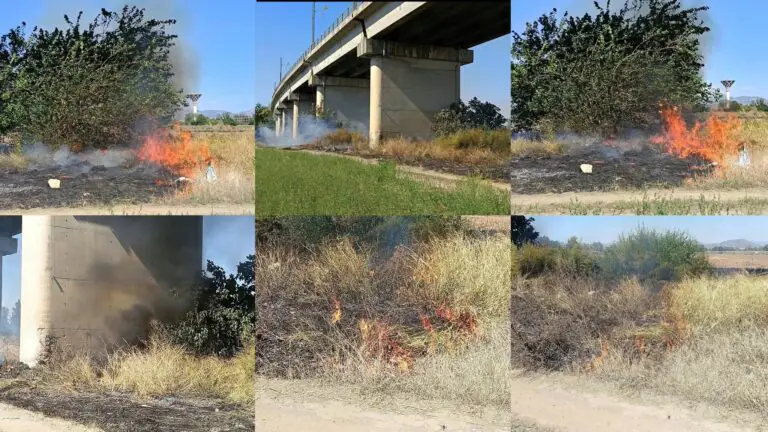 Ennesimo rogo nei pressi della Provinciale, a fuoco rifiuti e vegetazione