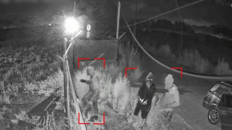 VIDEO – Tentano l’intrusione in un’azienda, messi in fuga dai Guardiani Virtuali
