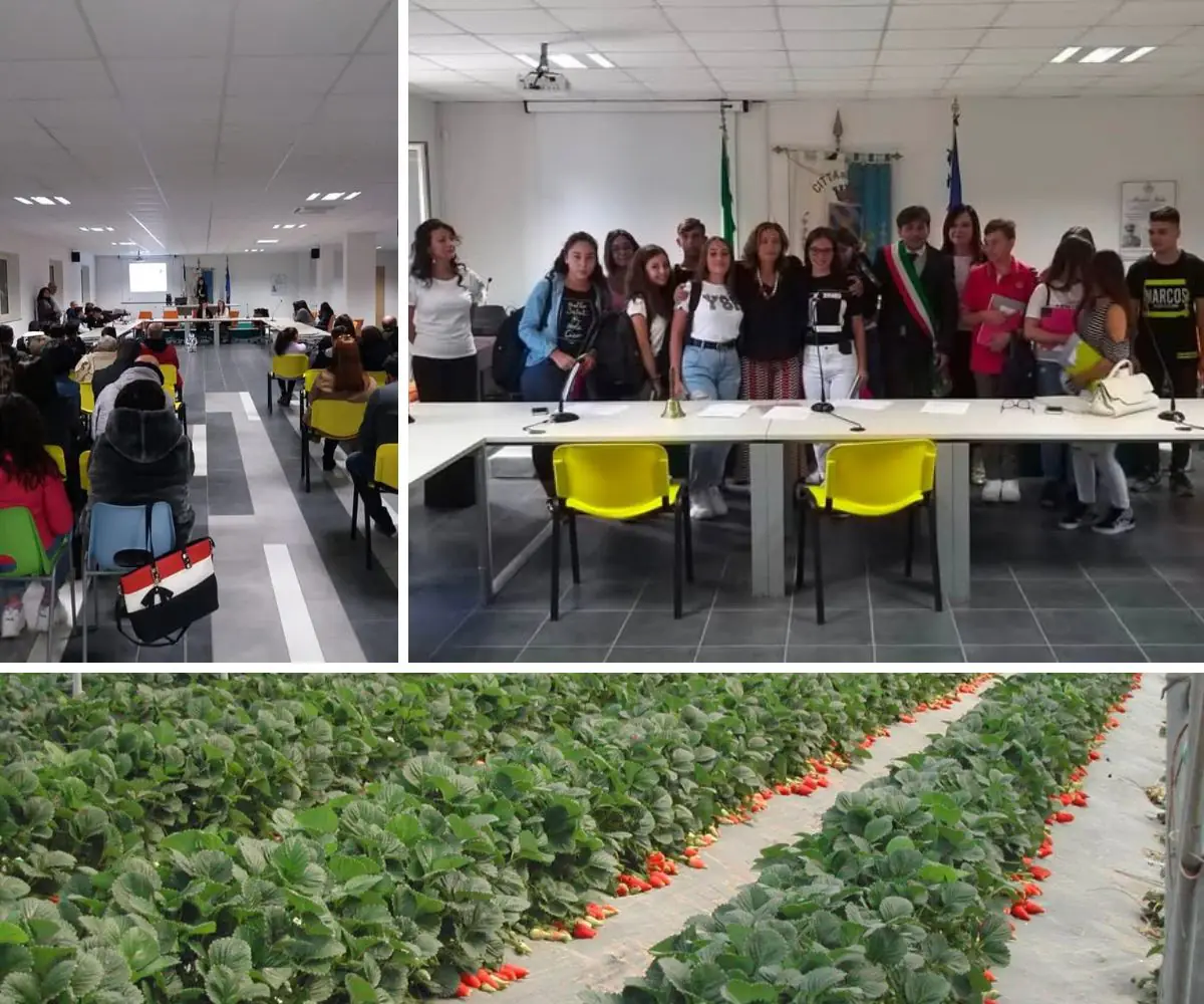 scuola agraria e agricoltura a Parete