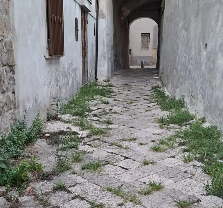 Quartieri nel degrado e bivacchi di incivili: “Città allo sbando in estate”