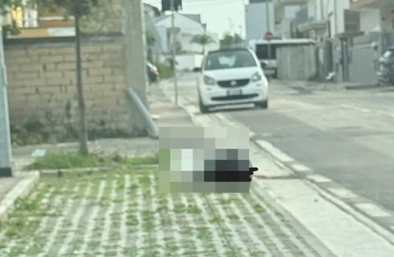 Si sente male e si accascia a terra, soccorso dai passanti