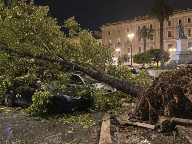 Alberi cadono su auto in sosta, choc in piazza