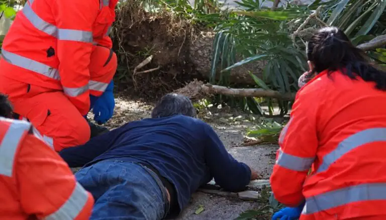 Cade da una pianta da tre metri, trasportato d’urgenza