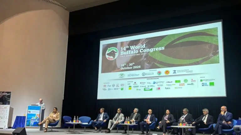 Mozzarella di bufala DOP, la sfida del futuro: meno burocrazia e più innovazione