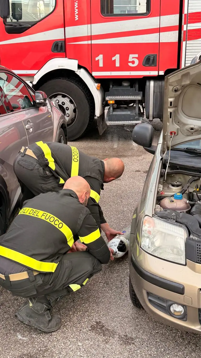 Gattino incastrato nel motore di un’auto per ripararsi dalla pioggia: intervengono i vigili del fuoco