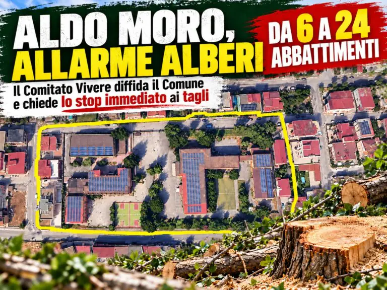 Da 6 a 24 alberi da abbattere alla scuola Aldo Moro: il Comitato Vivere diffida il Comune