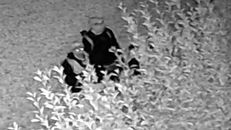 Tagliano recinzione per rubare in casa, 3 sorpresi da telecamere