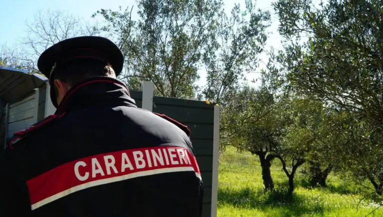 Carico intercettato dai militari durante un controllo