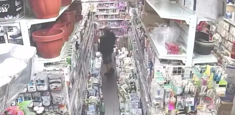 Colpo nello store sul corso, video incastra autore
