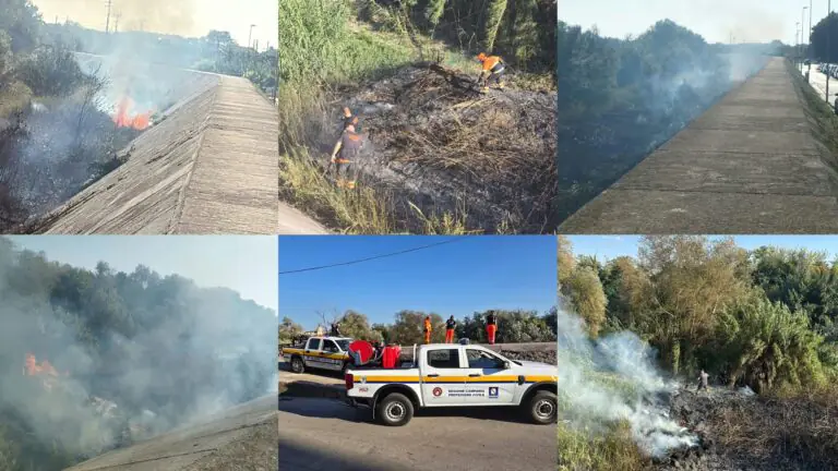 Rogo nei pressi del Volturno, pompieri in azione