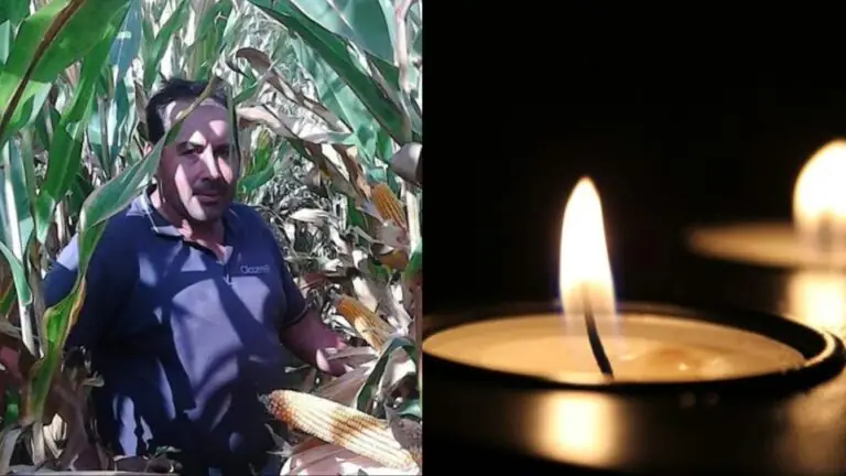 Imprenditore muore in ospedale dopo attacco di calabroni, fissato l’addio