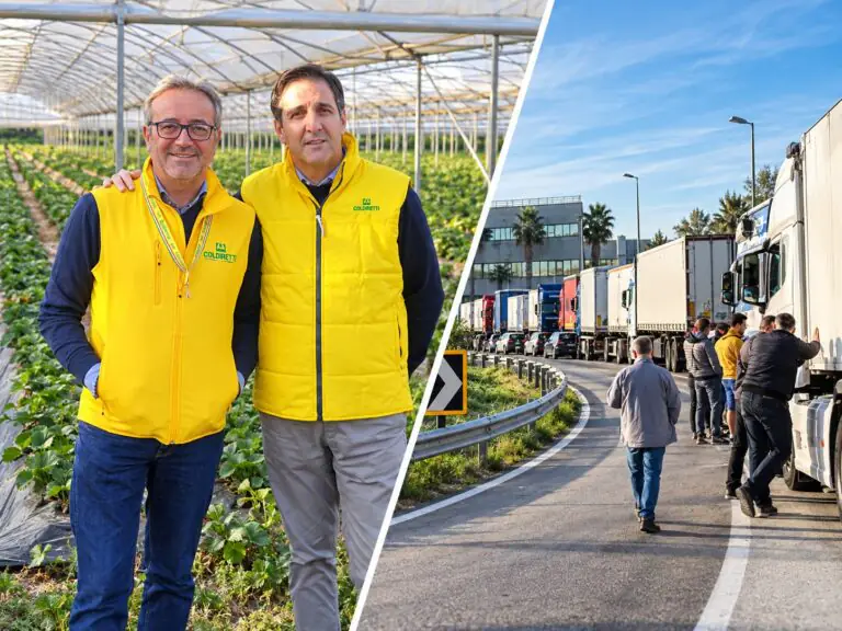 Caro energia e prezzi fuori controllo, gli agricoltori casertani pronti alla mobilitazione