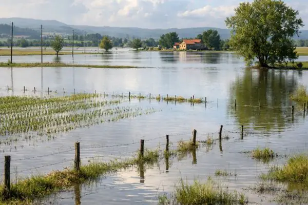 Terreni agricoli allagati nel Casertano dopo l’evento meteorologico della scorsa settimana coldiretti