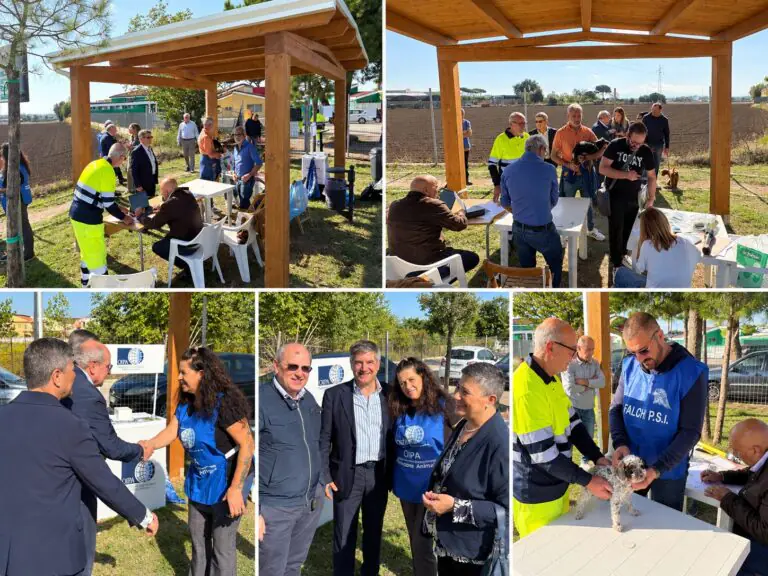 Microchip gratuito per i cani al Dog Park: giornata dedicata alla tutela degli animali
