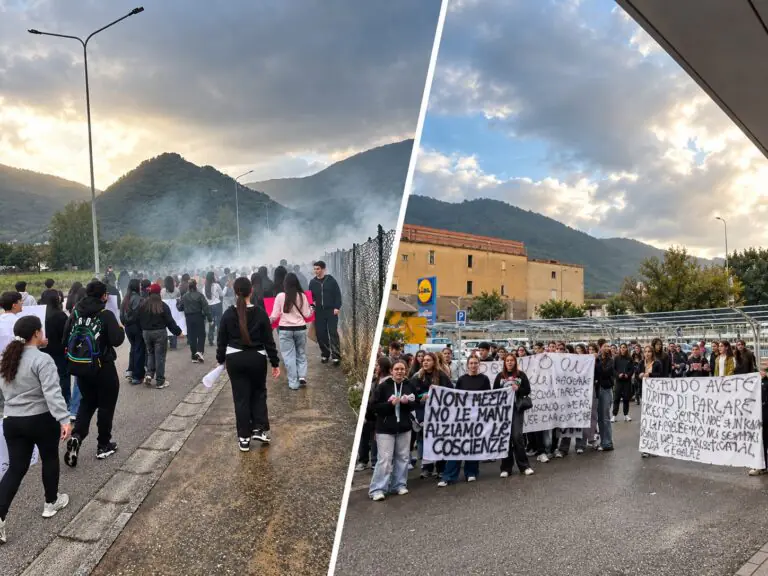 Gli studenti del Bachelet in marcia per gli autotrasportatori: protesta contro il carovita e il Governo