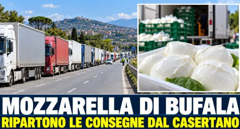 Ritorna la mozzarella dopo digiuno da protesta: “Entro 7 giorni tutto normale”