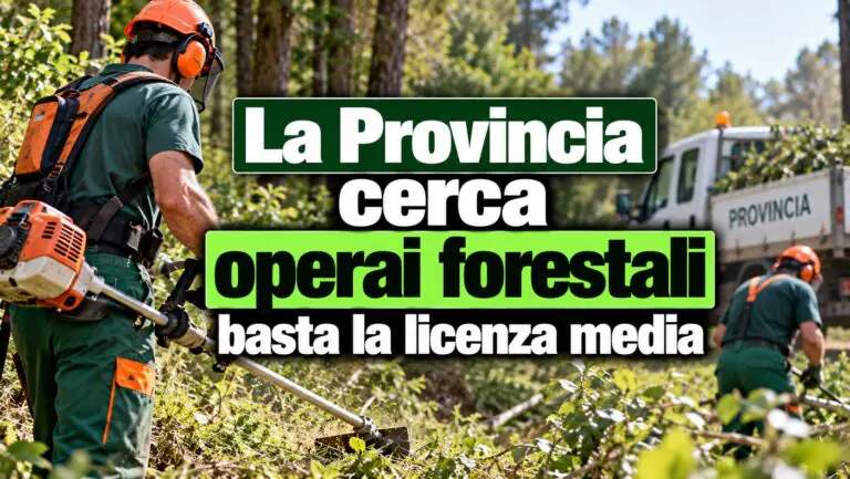 La Provincia cerca operai forestali, basta la licenza media