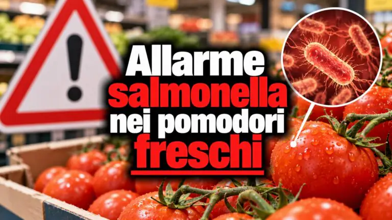 Allarme salmonella nei pomodori freschi: massima attenzione anche in Campania