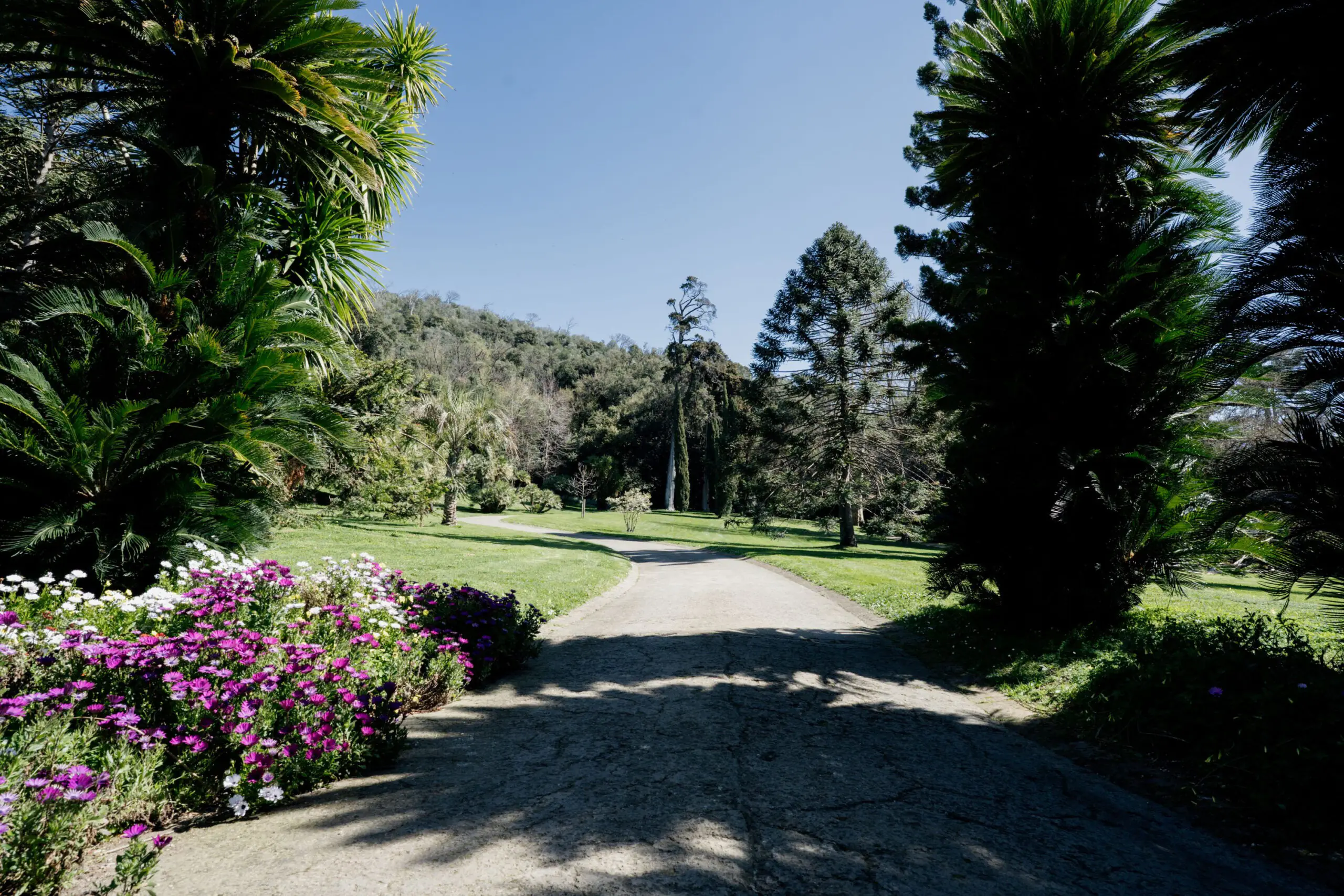 Giardino Inglese della Reggia di Caserta con i suoi paesaggi botanici e le architetture storiche in autunno